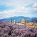 visita guidata Firenze giardino Bardini